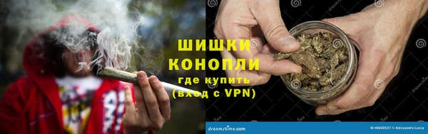 эйфоретик Вяземский