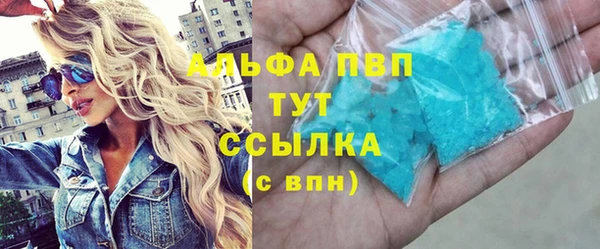 амф Гусев
