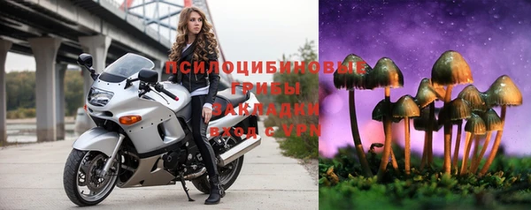 стафф Гусиноозёрск