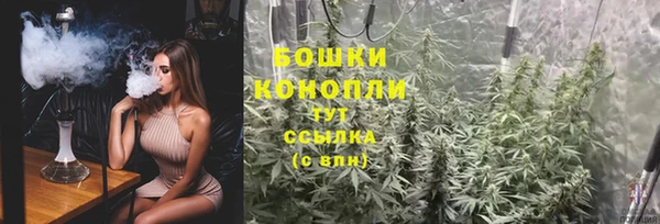 ALPHA PVP Горнозаводск