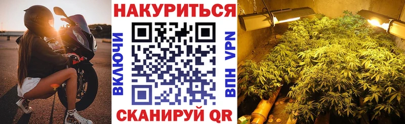 Шишки марихуана Amnesia  кракен зеркало  Прокопьевск 